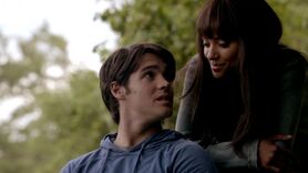 Normal tvd501--0088