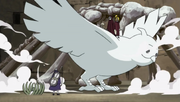 Kabuto heads out