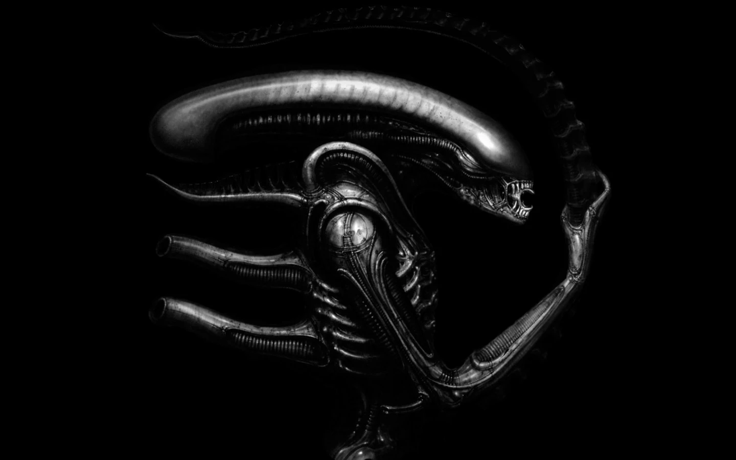 O Xenomorfo aliens
