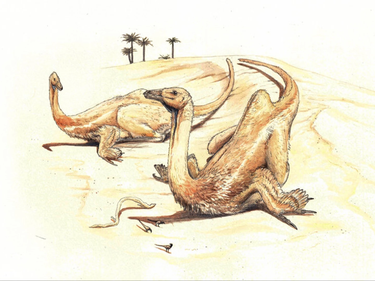 Deinocheirus Dinopedia the free dinosaur encyclopedia