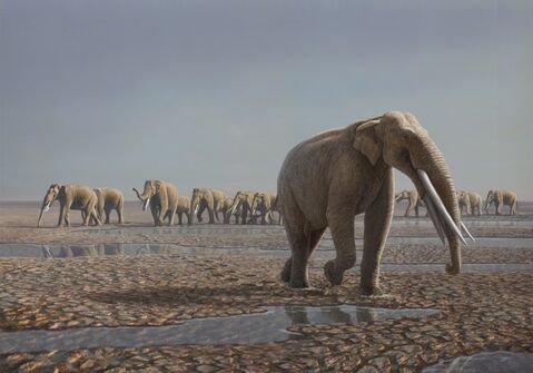 Stegotetrabelodon-herd-colour1