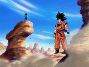 Goku vs Vegeta