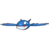 Kyogre XY