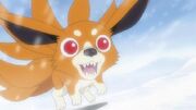 Kurama Taro