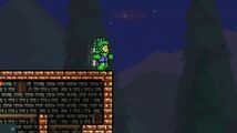 Dragon Armor pic