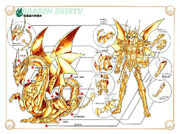 Esquema shiryu divinan
