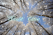 Frost Clan2
