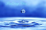 TearDrop Clan