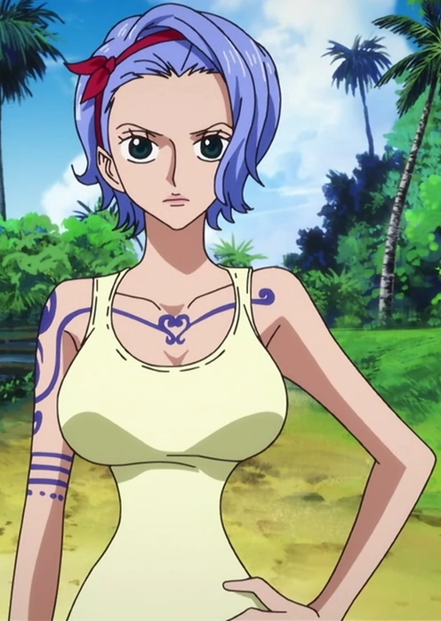 Nojiko_Anime_Pre_Timeskip_Infobox.png