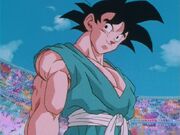 Goku alla fine della serie Z