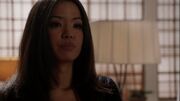 3x12 Niko
