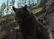 IMG 0274