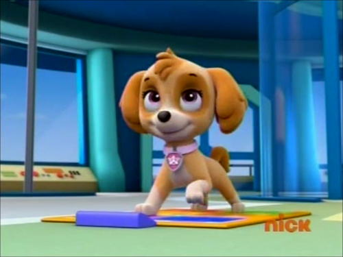 paw patrol skye sad