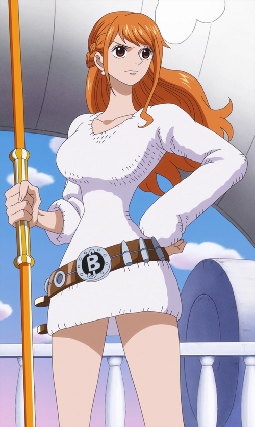 nami onepiece piece wikia timeskip anime