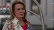 3x13 Stevie