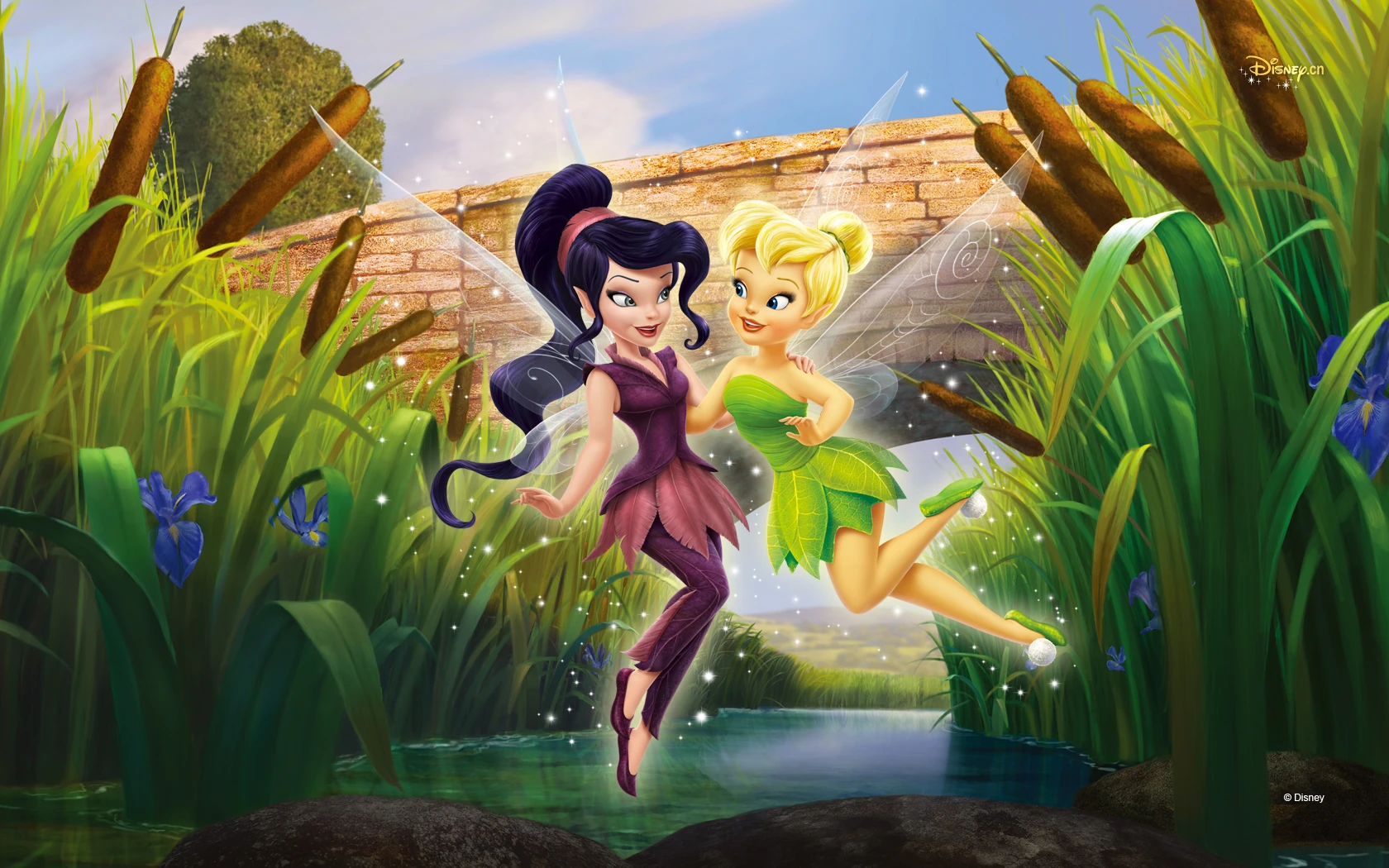 Image Vidia and Tinker Bell.jpg DisneyWiki