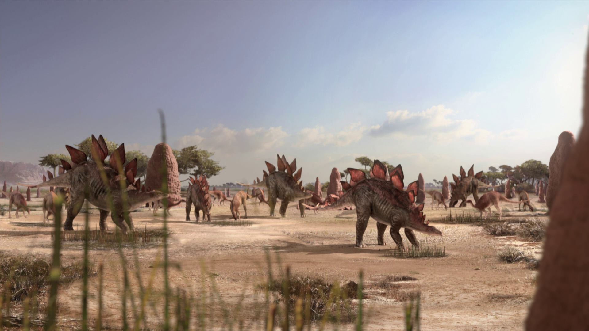 1x4_StegosaurusHerd.png