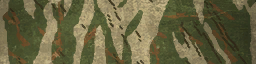 BF4_Tiger_Autumn_Paint.png