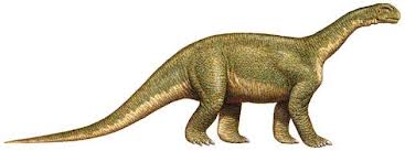 Jaklapallisaurus Dinopedia the free dinosaur encyclopedia