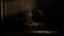Vlcsnap-2014-02-07-18h45m28s241