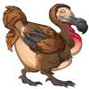 Dodo