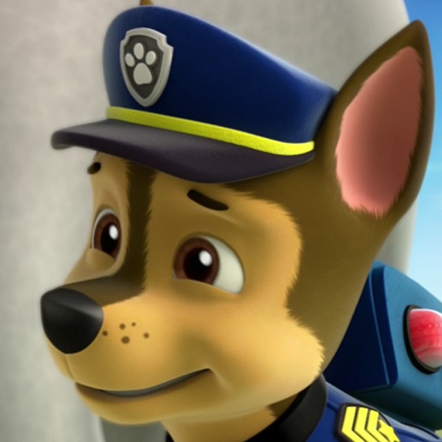 chase paw patrol