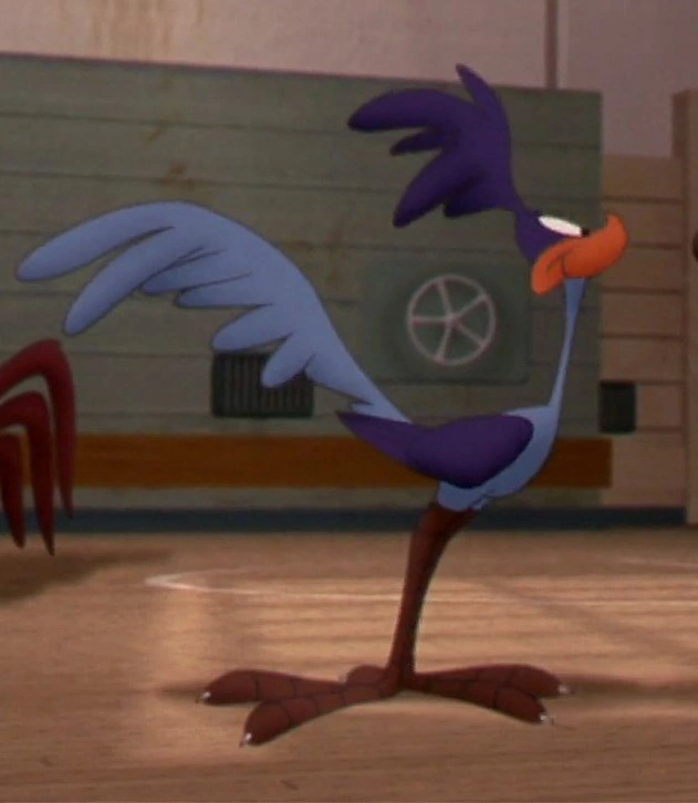 space jam road runner controller