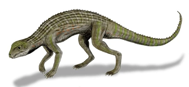 File:Adamantinasuchus BW.jpg