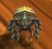 Sand Scarab