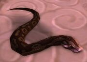 Death Adder Hatchling