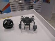 Burnbottoy