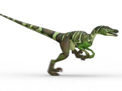 Velociraptor12