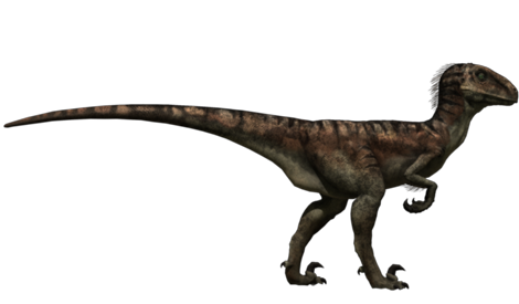 Utahraptor.png