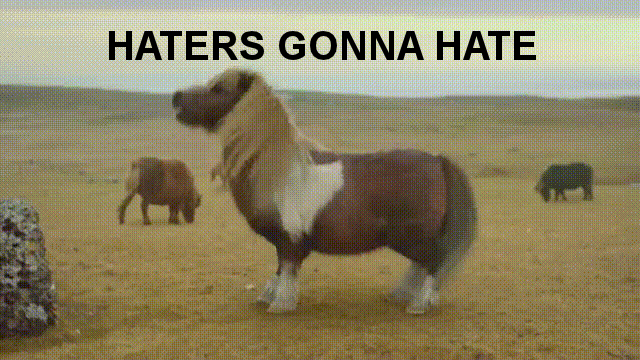 Haters_gonna_hate_ponies_fixed-37236.gif