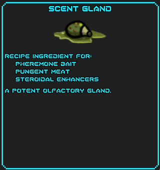 Scent Gland SotsDex