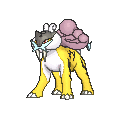 Raikou_XY.png