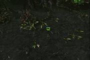 KerriganZagaraZergling SC2-HotS Game1