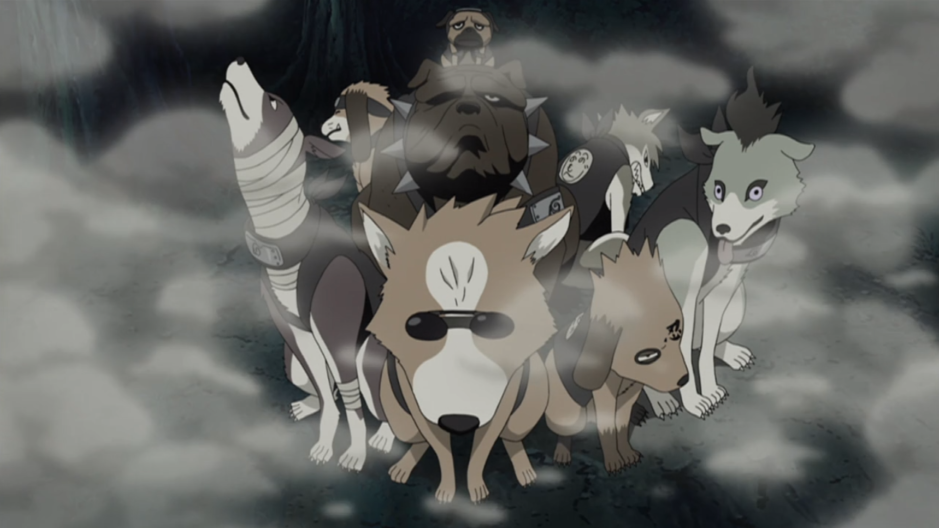 Anime In The Heart Blog Anime Information Naruto Animals 012 Ninken Full Info