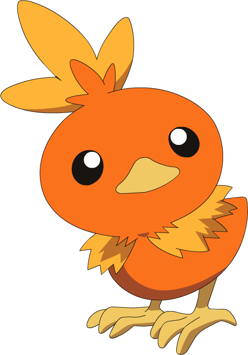 255Torchic_AG_anime.png