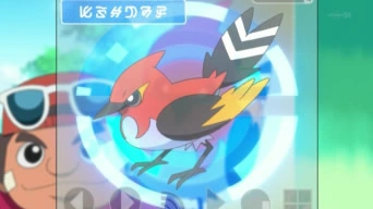 http://img2.wikia.nocookie.net/__cb20140320180250/es.pokemon/images/4/4d/