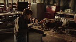 Younger.finch