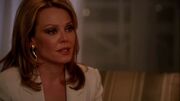 3x15 Stevie