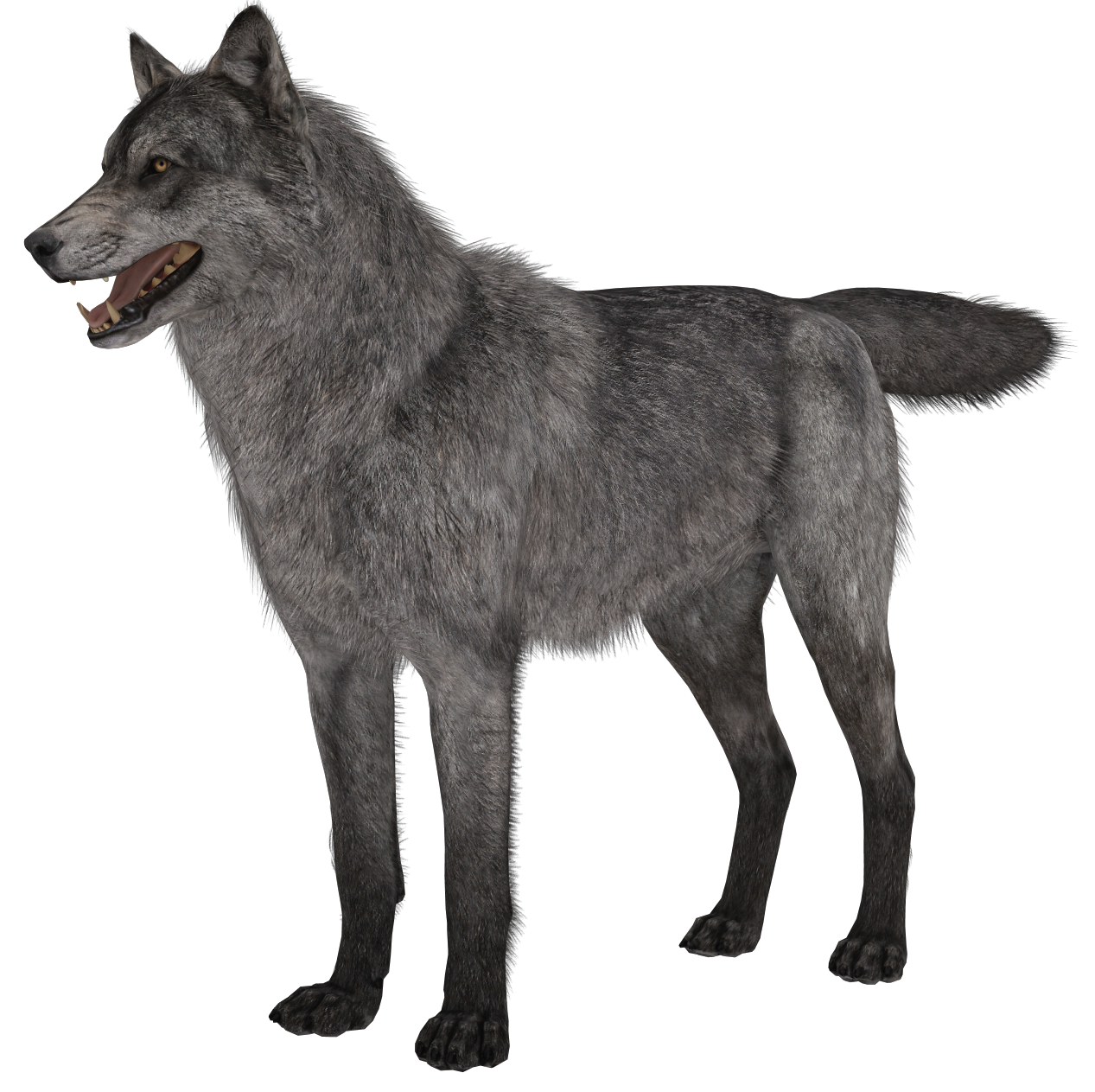 call of duty black ops zombies five wolf