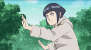 Hinata Taijutsu