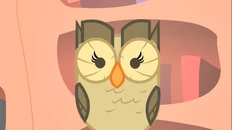 Owloysius characters.png