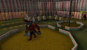Circus