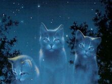 Starclan-cats-warriors-novel-series-31827216-1024-768