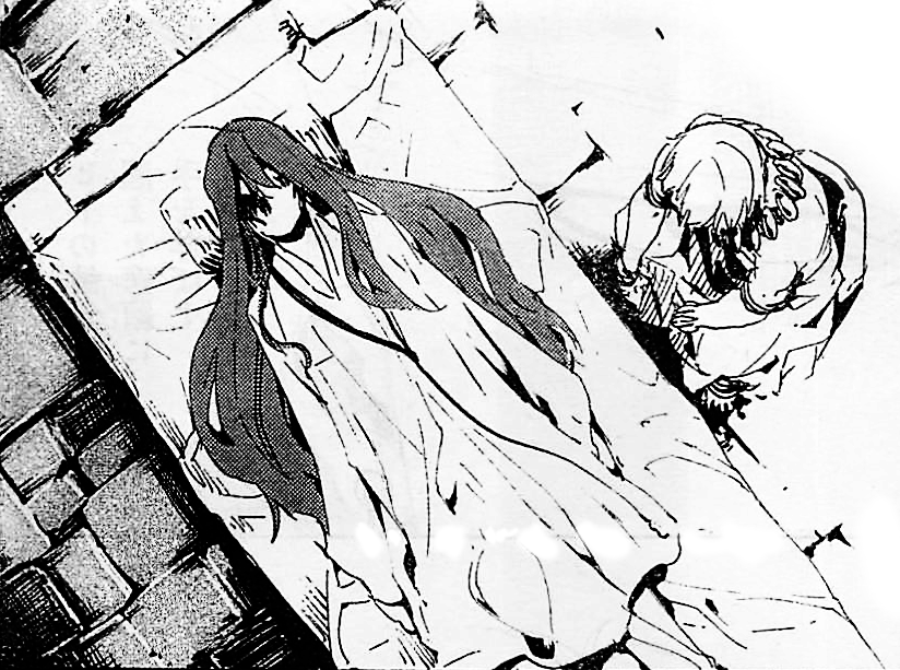 Fate Hollow Fake Page 16 Sufficient Velocity