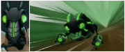 Robo babosas