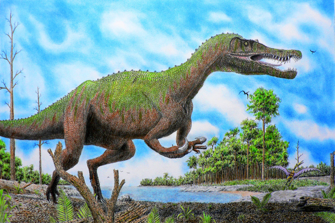 Baryonyx Dinosaur Wiki 